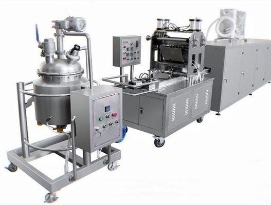 Fully Automatic Production Line for Making Jelly Gummy Bear Candy in Food Beverage