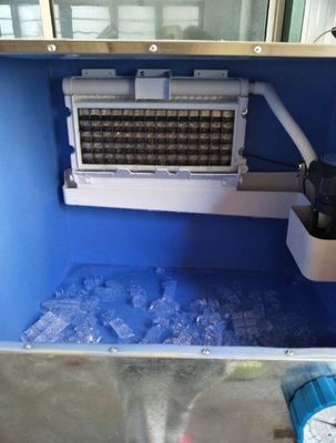 Professional Commercial Cube Ice Making Machine with 1000kg Ice Storage Capacity