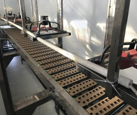 220V Voltage and 20-50kg/h Capacity Jelly Gummy Making Machine for Customer Requirements