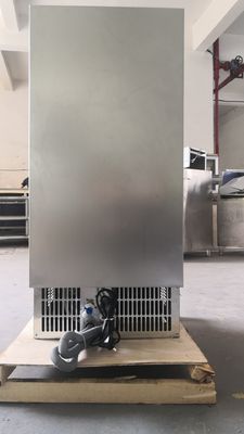 Daily Capacity 45kg/d Ice Cube Dispenser with Automatic Ice Maker and Moon Ice from Chin