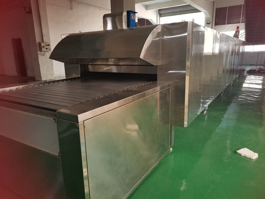 Easy to Operate Tunnel Mobile Oven for Live Pizza and Bread Baking Efficiency