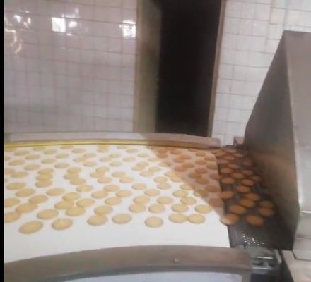 110/220 Energy Saving Conveyor Small Tunnel Oven for Cookies and Egg Omelette from Real