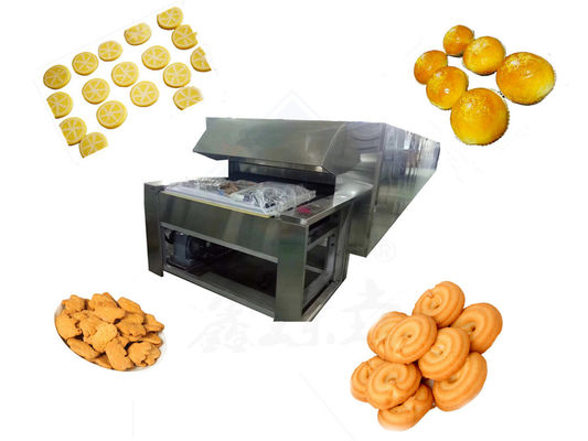 Medium-Sized Tunnel Oven for Baking Cookies and Egg Omelettes in Food Beverage Shop