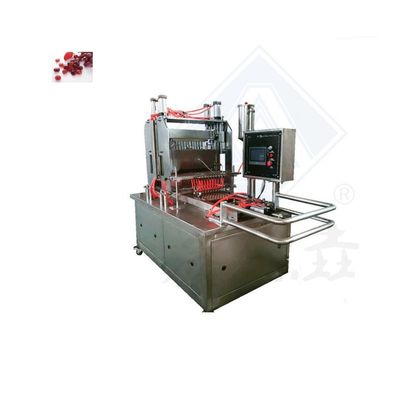 High Productivity Blueberry Gummy Candy Machine for Assorted Soft Candies Production