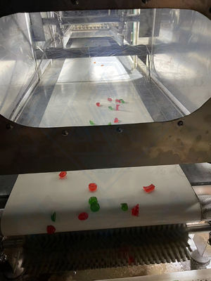Advanced Automatic Jelly Pectin Gummy Hard Candy Making Machine for Sweet Bear Candy