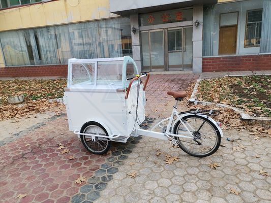 Mobile Food Truck Machinery Function Provide food with Tricycle Bike Food Cart