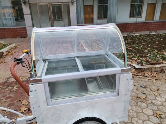 Mobile Food Truck Machinery Function Provide food with Tricycle Bike Food Cart