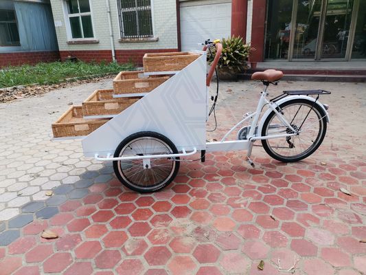 Video Technical Support Customized Food Snack Truck Electric Bike for Hot Food Cart