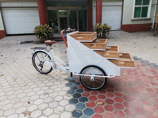 Video Technical Support Customized Food Snack Truck Electric Bike for Hot Food Cart