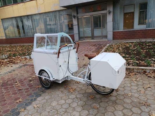 Electric Bike for Food Delivery Raw Material Milk Machinery Function Selling Food