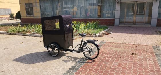 200kg Mobile Tricycle Bike Food Cart for Outdoor Street Vending Commercial Juice