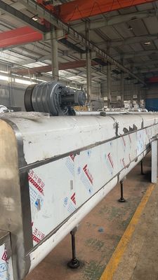 Continuous Baking Tunnel Oven for Bakery and Cookie Production in Manufacturing Plants