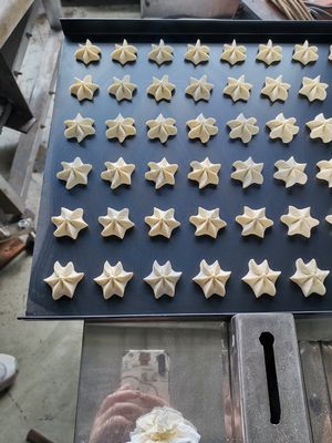 Stainless Steel Biscuit and Cookie Making Machine for Small Business Opportunities