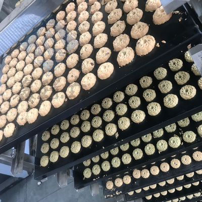 Walnut Cake Making Machine Fully Automatic Production Line for Cream Cookies and Biscuits