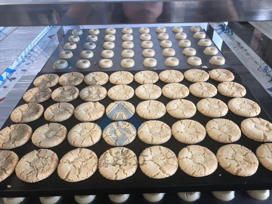 Machinery Function Making Walnut Cake Cookies with Fully Automatic Production Line