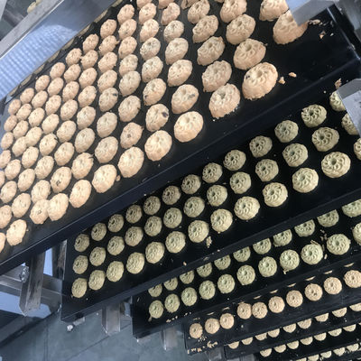 Full Automatic Soft Walnut Biscuit Making Machine with Different Production Capacity