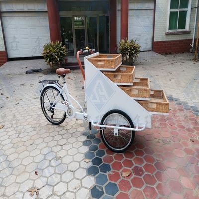 Convenient Dining Three-Wheeled Snack Cart Europe Hot Dog Bread Vending Bike for Market