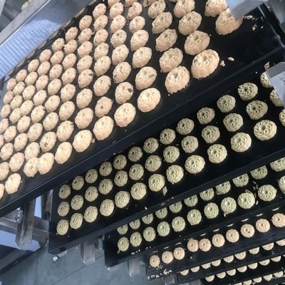 Advanced Walnut Cake Biscuit Automatic Making Machine for Bakery Industry