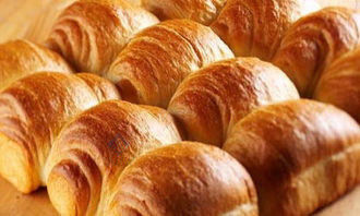 Food Processing Machine One-Step Rotary Oven for Biscuits Cakes and Bread at Affordable