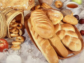 Food Processing Machine One-Step Rotary Oven for Biscuits Cakes and Bread at Affordable