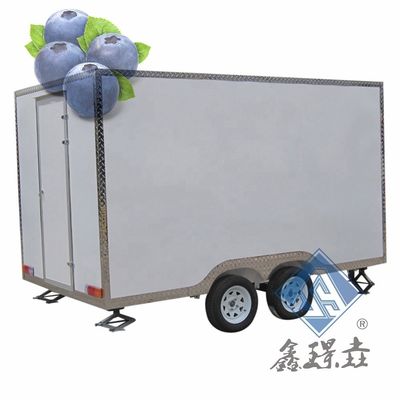 Multifunctional Food Cart Fast Food Truck with Full Kitchen and Airstream Kitchen