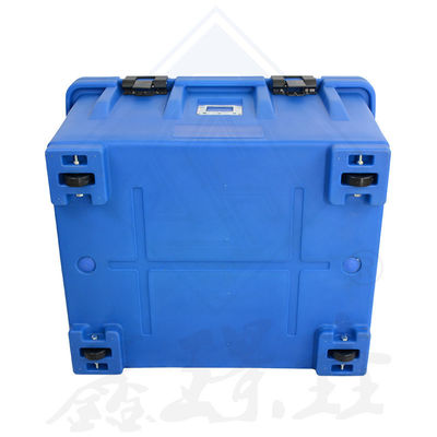 Stainless Steel Insulated Bento Box for Kids Keep Fish Fresh and Ready to Eat