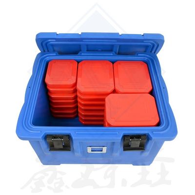 Stainless Steel Insulated Bento Box for Kids Keep Fish Fresh and Ready to Eat