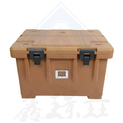 Stainless Steel Insulated Bento Box for Kids Keep Fish Fresh and Ready to Eat