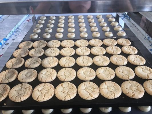 220V/380V Salty Crisp Milk Cookies Machine Biscuit Maker for Your Food Processing Needs